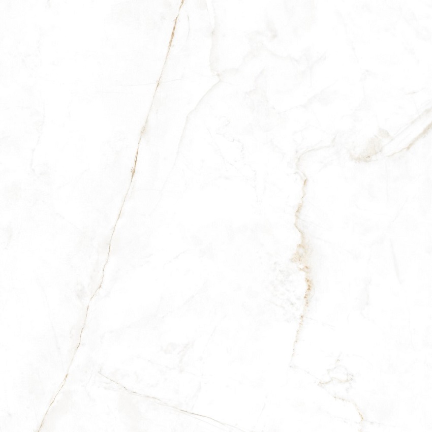  Dual White NT 1200x1200
