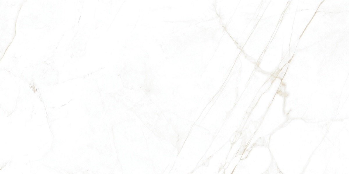  Dual White NT 1200x1200
