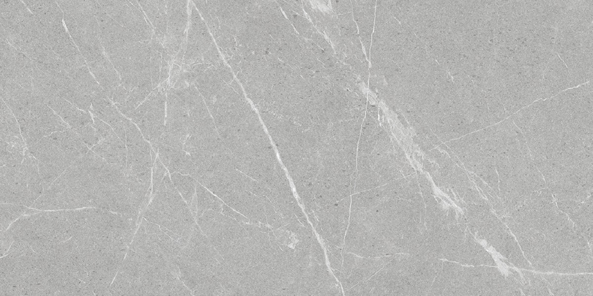  Antislip Dakota Gris R10 600x1200