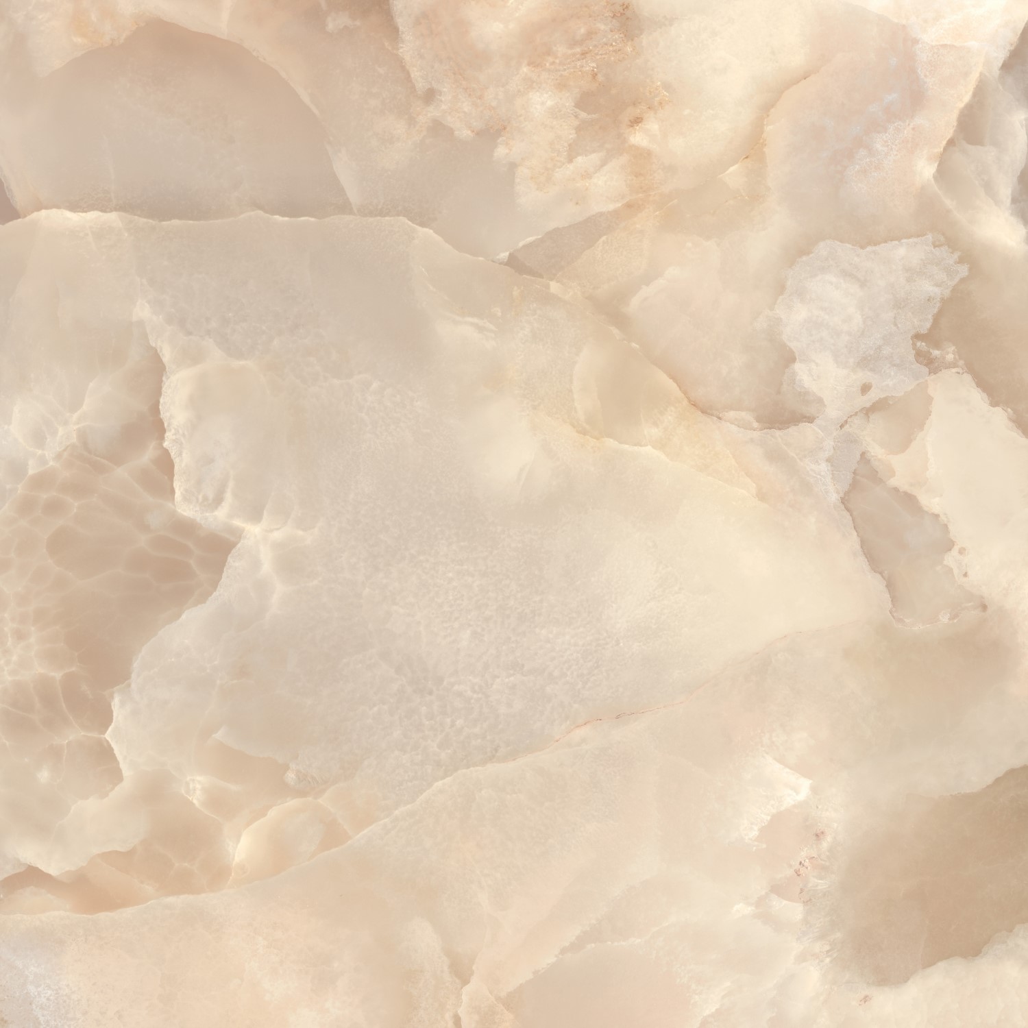  Onyce Champagne ON 03 LUC SQ 1200x1200