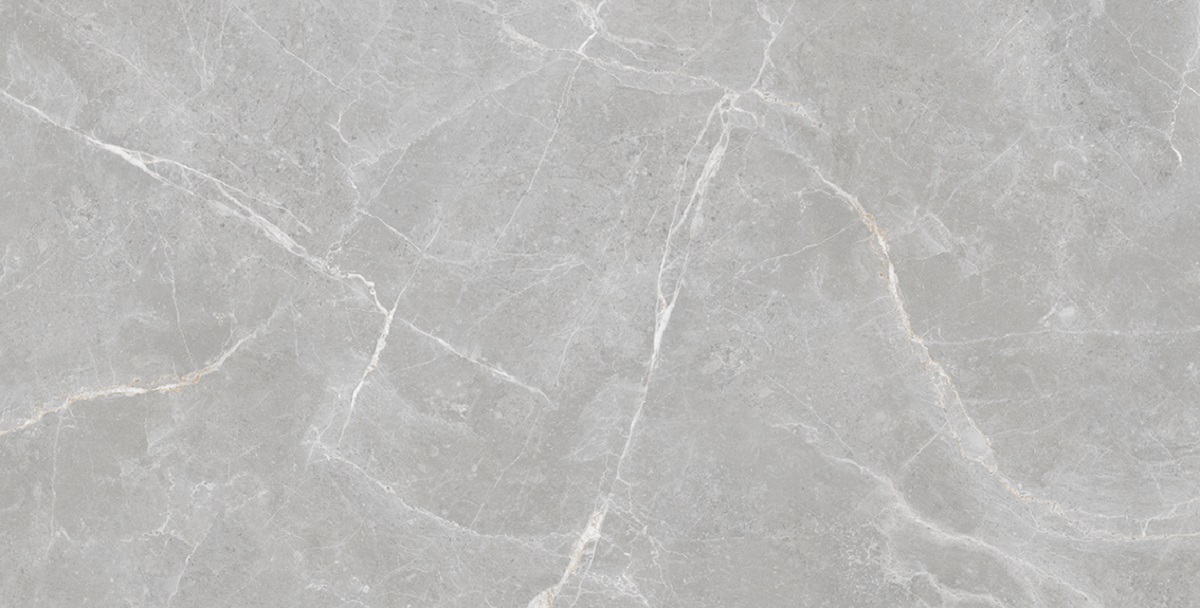  Silk Patricia Grey Matt 600x1200