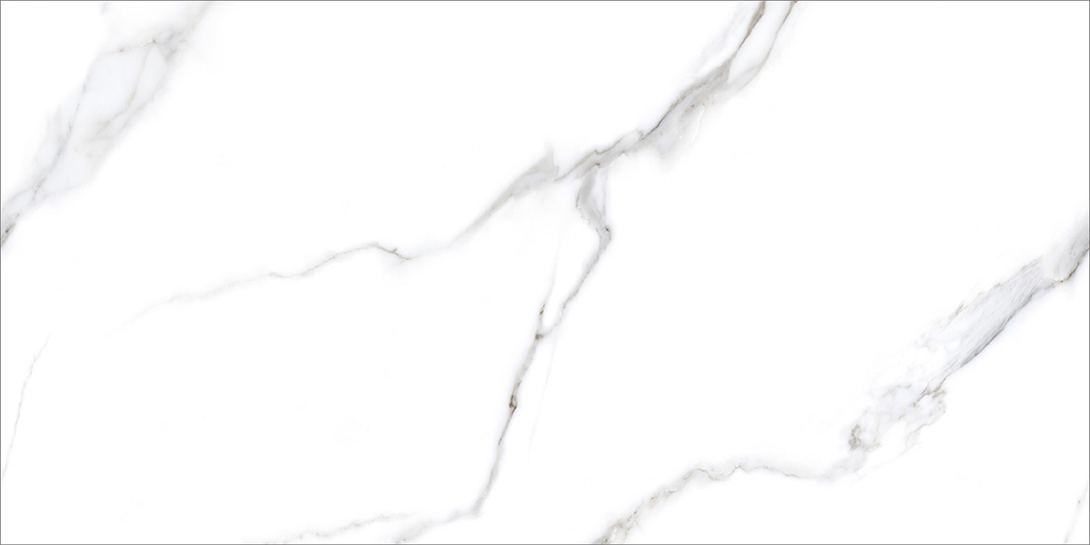  Silk Statuario Carvino Matt 600x1200