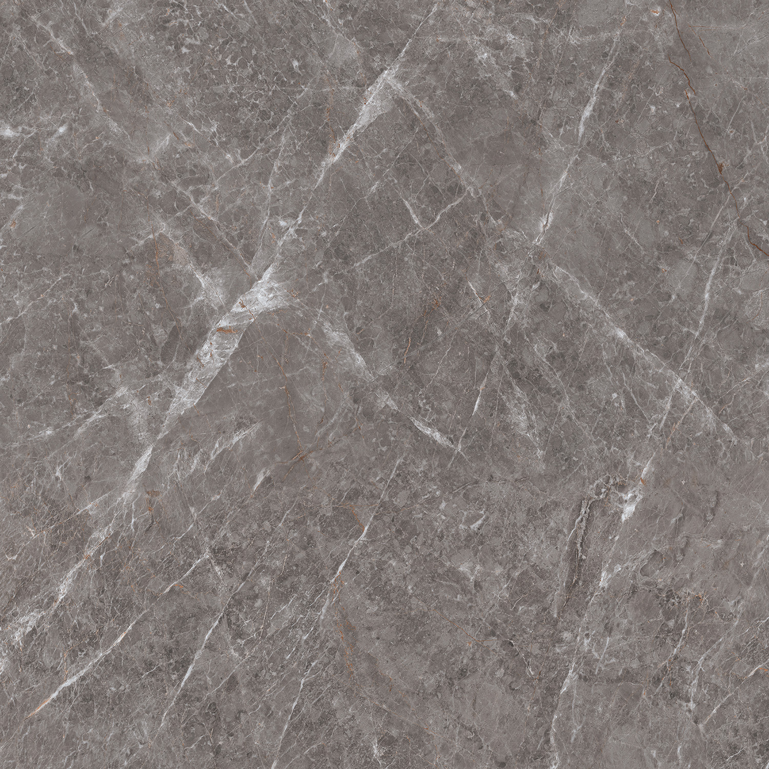  Double Polished Tundra Gris 1200x1200