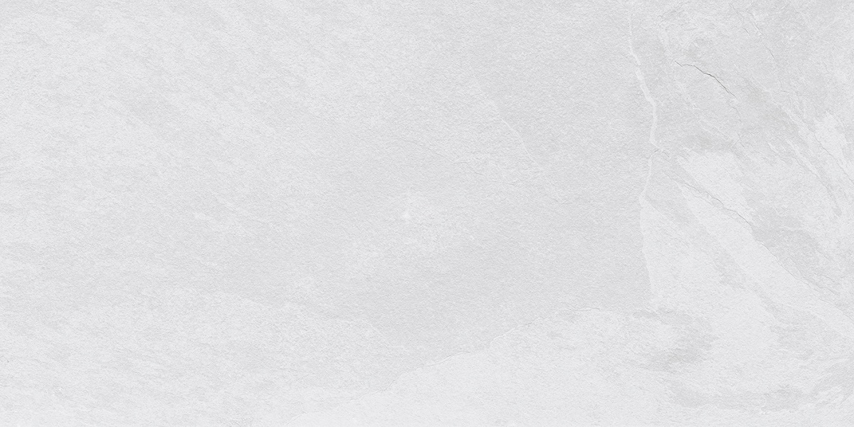  Rizzi Slate Bianco Matt 600x1200