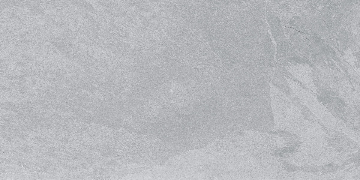  Rizzi Slate Grey Matt 600x1200