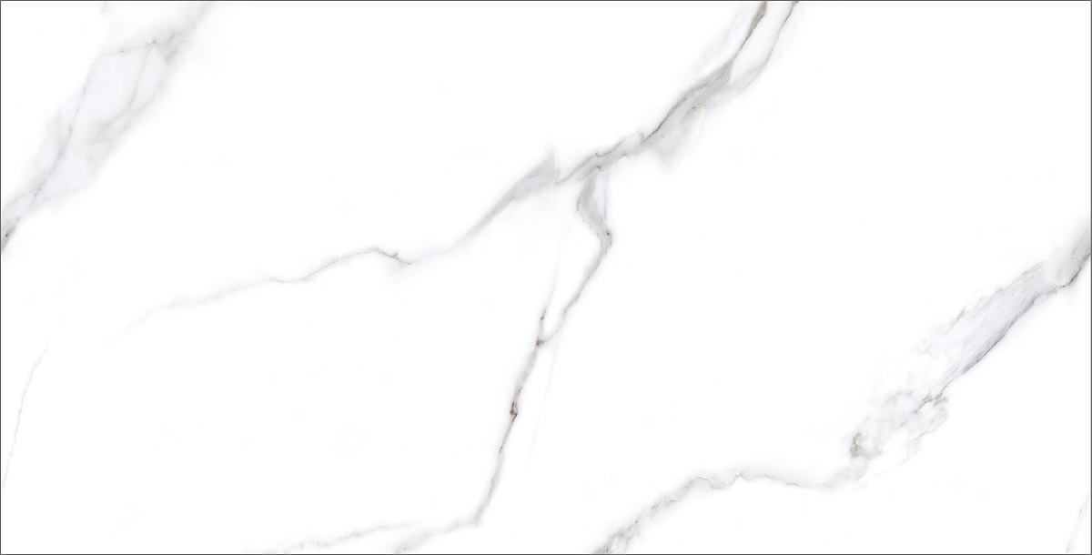  Rizzi Statuario Carvino Polished 600x1200