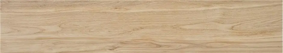  Havsta Camel MT 230x1200