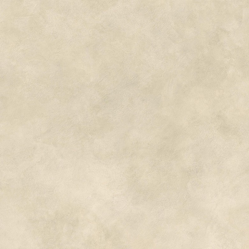  Boost Expression Camel 1200x1200