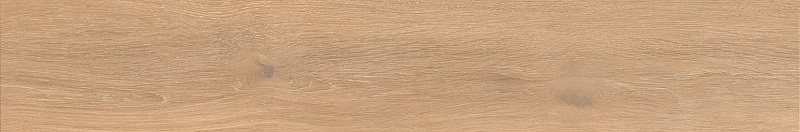  Cocoon Glee 200x1200