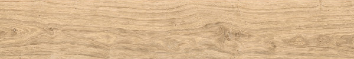  Ni Native NI 11 Rovere Naturale 200x1200