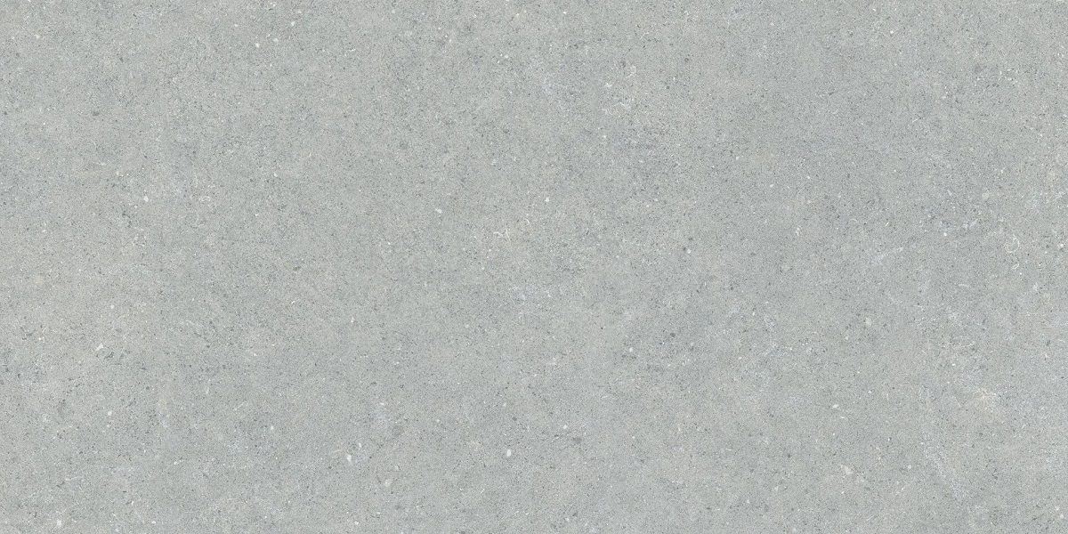  Coral Grigio Chiaro 600x1200