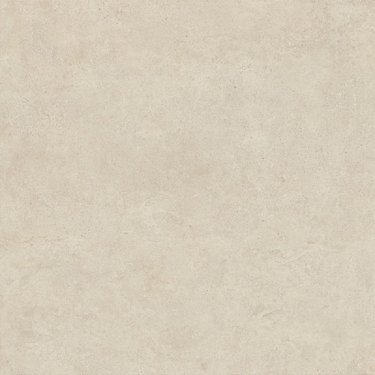  Boost Vision Camel 1200x1200