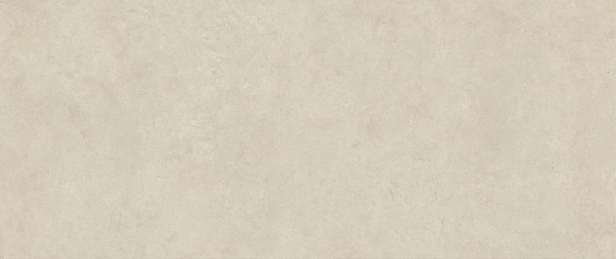  Boost Vision Camel 1200x2780