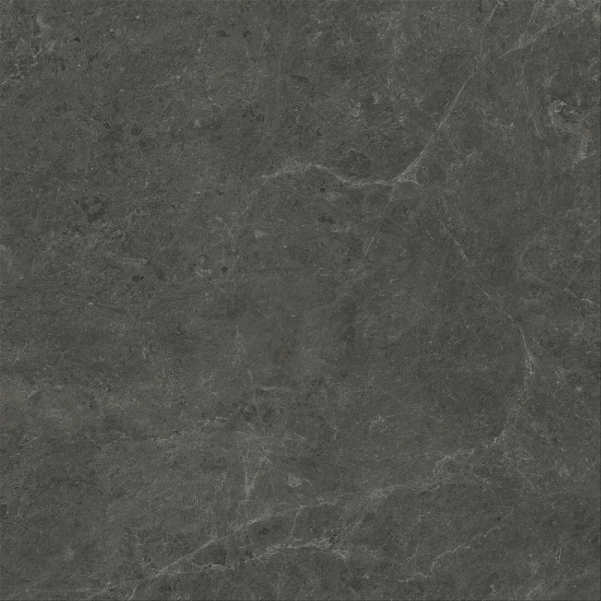  Nyra Charcoal 1200x1200