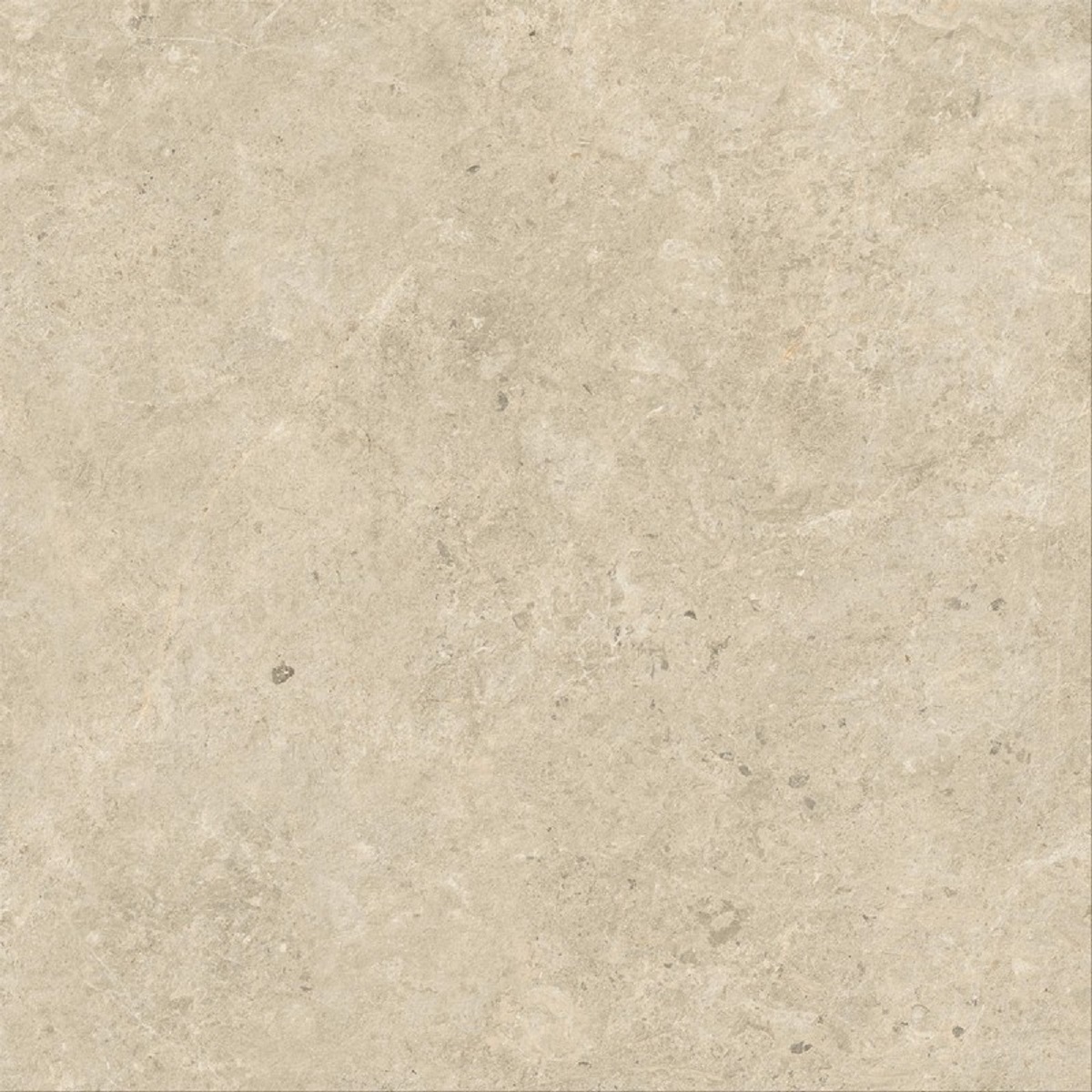  Nyra Sunlight 1200x1200