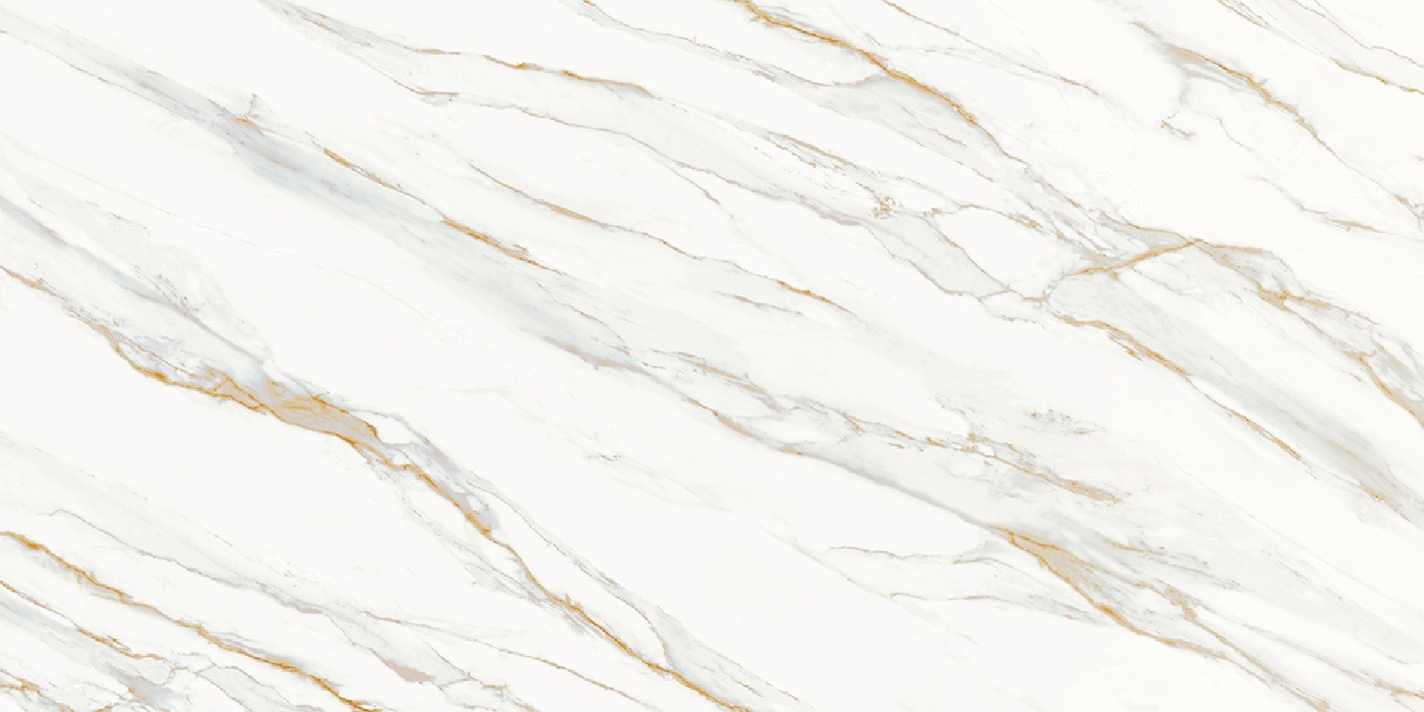  Matt Calacata Gold Honed 1600x3200