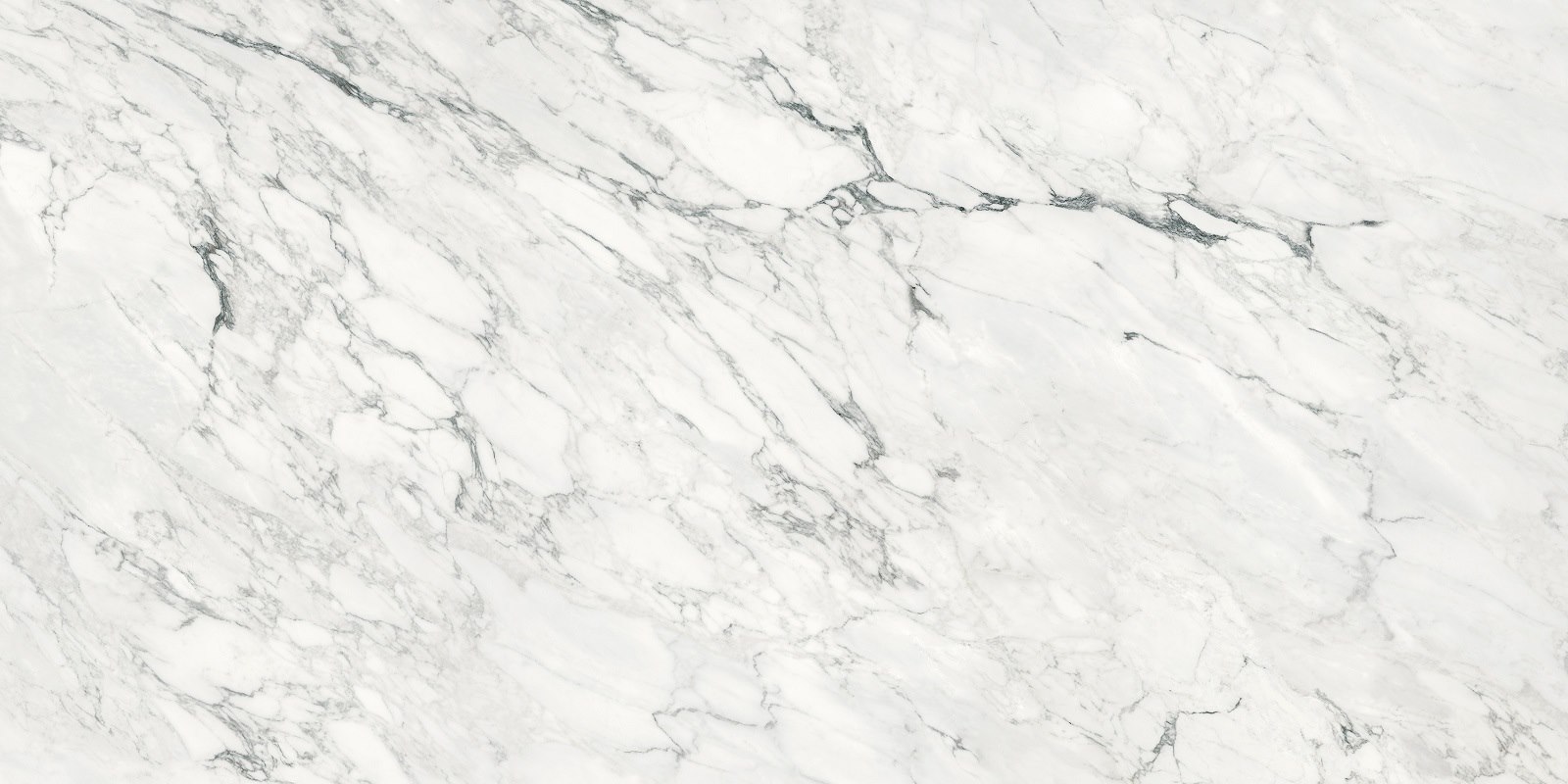  Matt Cyan Monet Texture 1600x3200