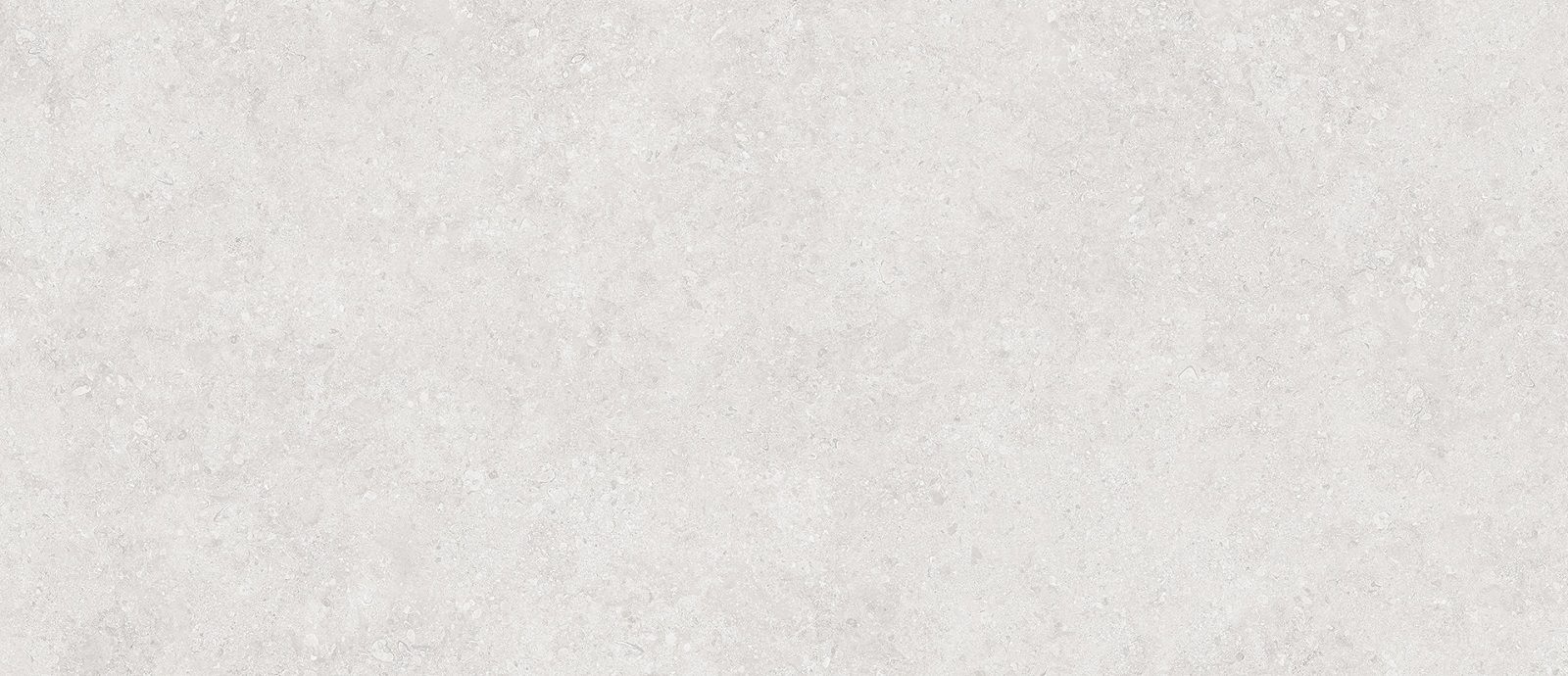  Matt Onega Silver Xylotech 1200x2780