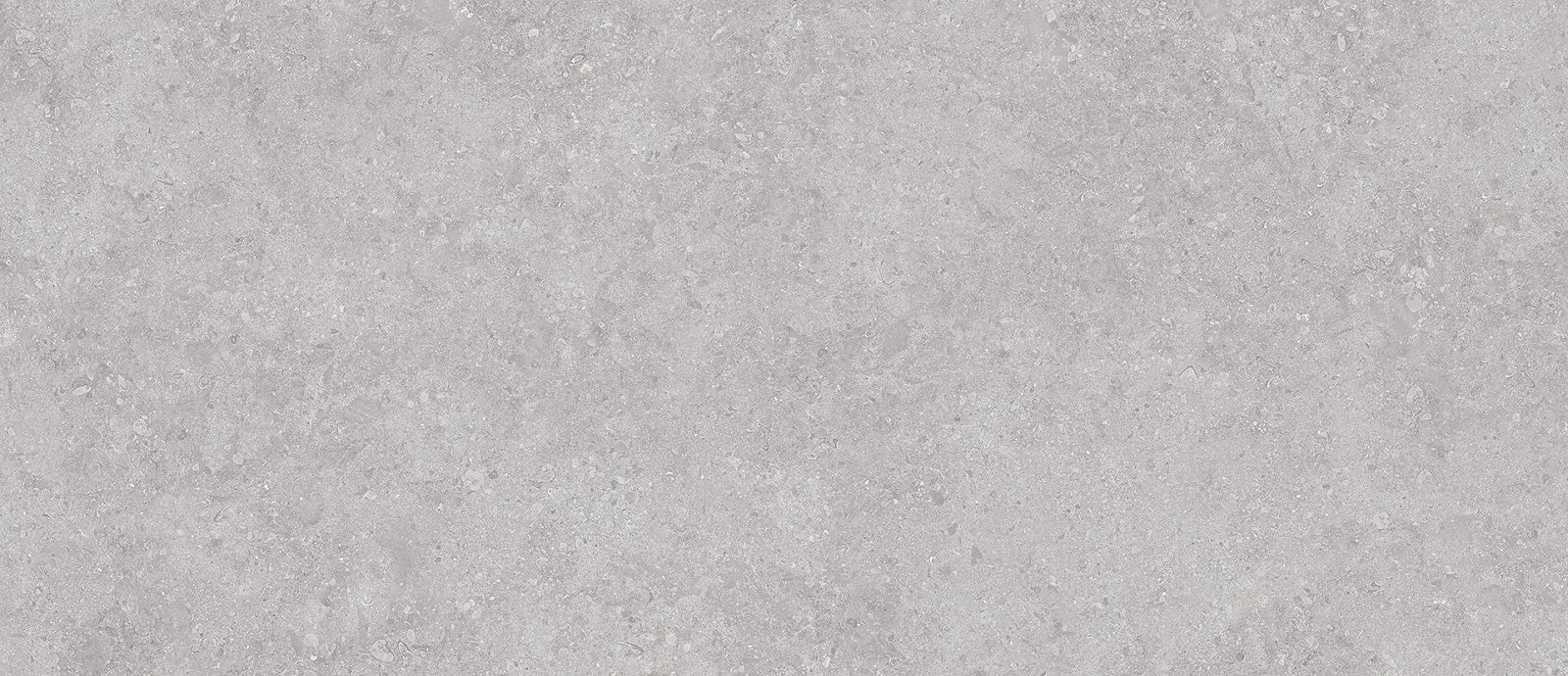  Matt Onega Grey Xylotech 1200x2780