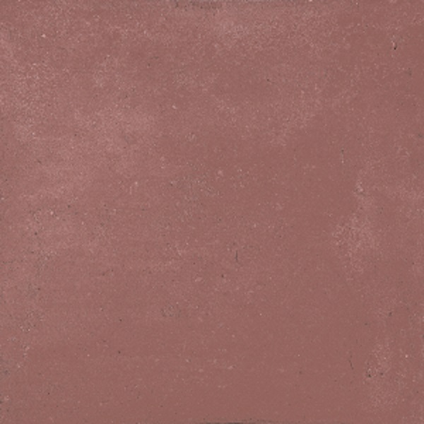  Concept Berry 198x198