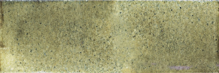  Jazz Olive 75x225